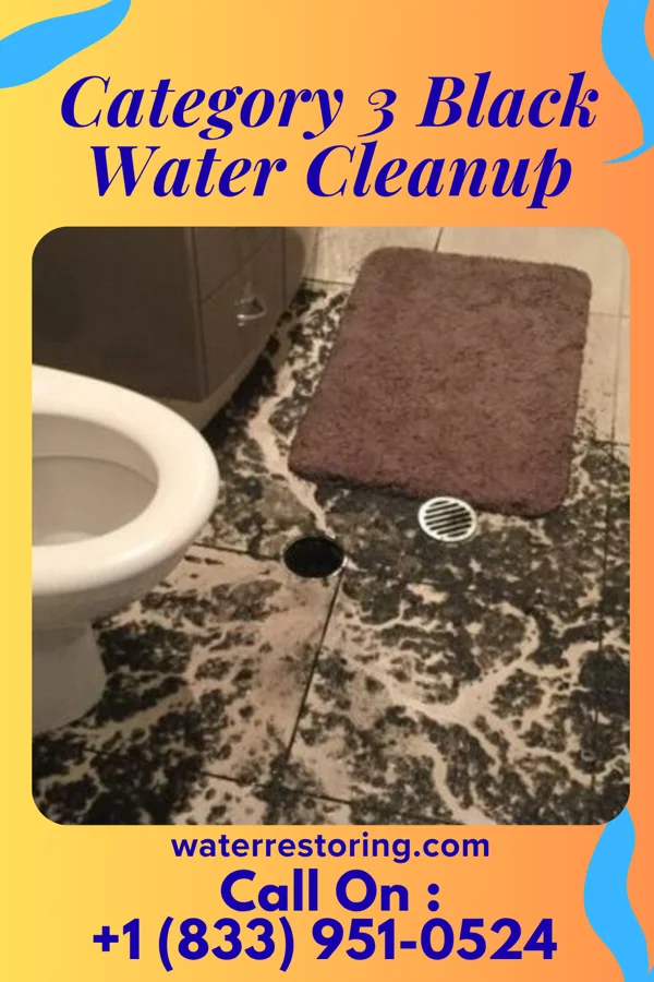 Category 3 Black Water Cleanup in Rock Island, IL
