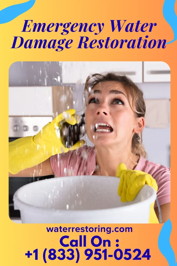 Emergency Water Damage Restoration in Rock Island, IL